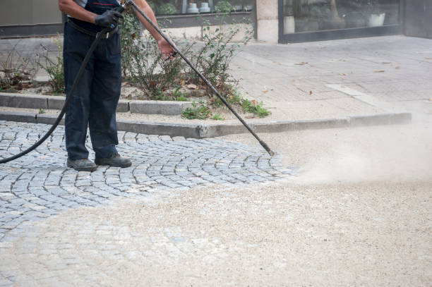 Best Dumpster Area Cleaning  in Mercedes, TX