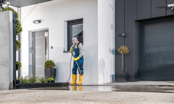 Solar Panel Cleaning in Mercedes, TX